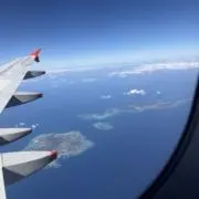 シンジの画像