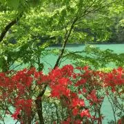 ruiの画像