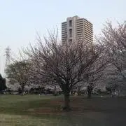 ONU