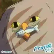 Image of たまこ