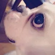 豆大福