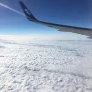 hjukt