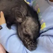 定期的に値下げ⭕️みーママの画像