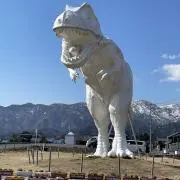 カズさん