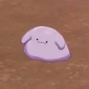 イムの画像