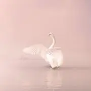 レイチェルの画像