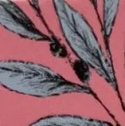 yukiの画像