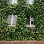MUGIの画像