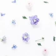 にこ *の画像