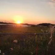 米田の画像
