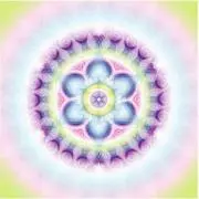 cocoro☻の画像
