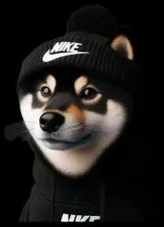 せいみい