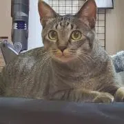 まちゃみ