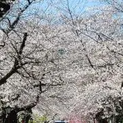 毎日がspecialday♪の画像