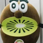 たこやきの画像