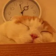 そうたの画像