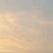 ぴょこの画像