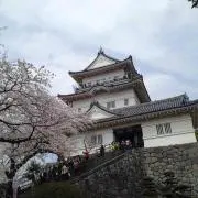 かず