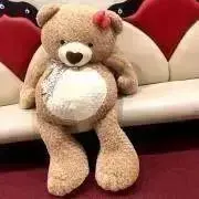 ぴょんの画像