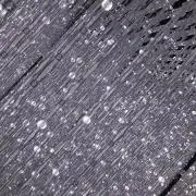 オートンの画像