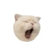 ୨୧の画像