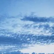 miwakoの画像