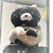 あや