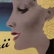 キキの画像