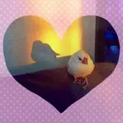 れなぴー