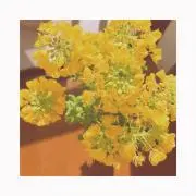 かなの画像