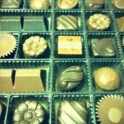 COCOの画像