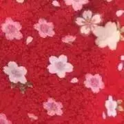 toi❤︎プロフ必読お願いします！の画像