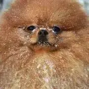 フォロー割有りmasassysの画像