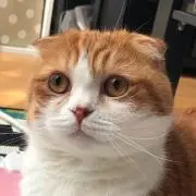 ryoma