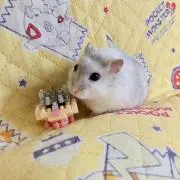 アイの画像