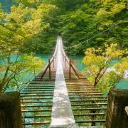kamurenの画像