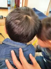 Y＆Hの画像