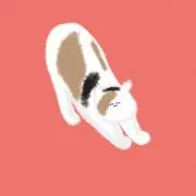 ベジッチの画像