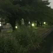 S Sの画像