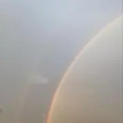 tmtmの画像