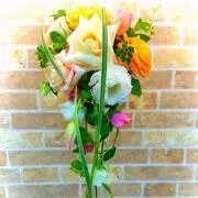 reiの画像