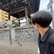 あおかつの画像