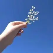nikochanの画像