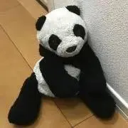 ぱんだちゃんの画像