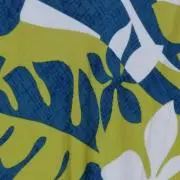 ぼぼの画像