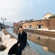 たたの画像