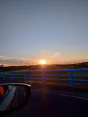 ＴＳ