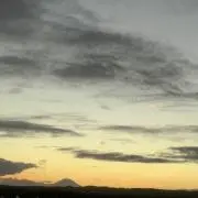 ゆん