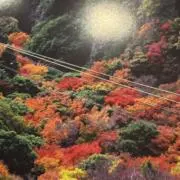 めんめんの画像