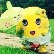 funa☆peの画像